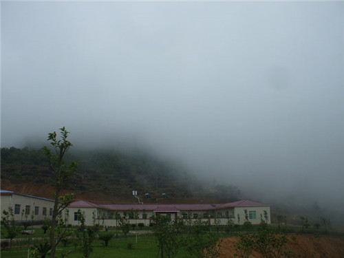 茶場(chǎng)基地